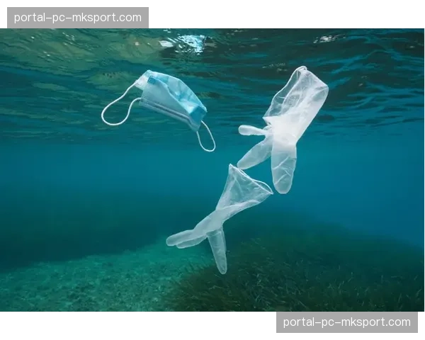 法国政府考虑修改法律，加大对足球流氓的处罚力度